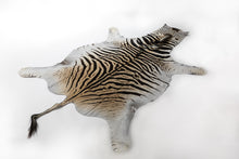 Load image into Gallery viewer, Burchell’s Zebra Hide
